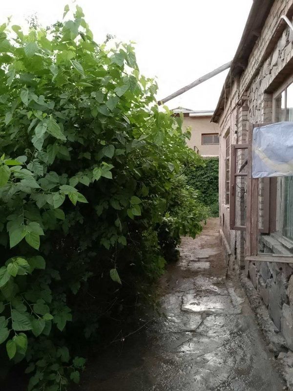 Frunze hududida zudlik bilan yer sotiladi!