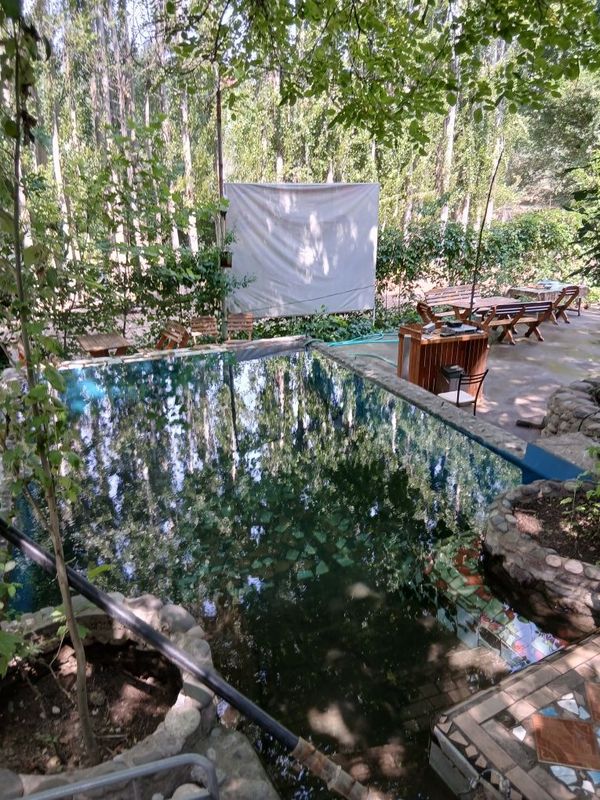 Тапчаны угам чарвак (бочка) 300 тыс.сум Тапчаны угам чарвак (бочка) 300 тыс.сум