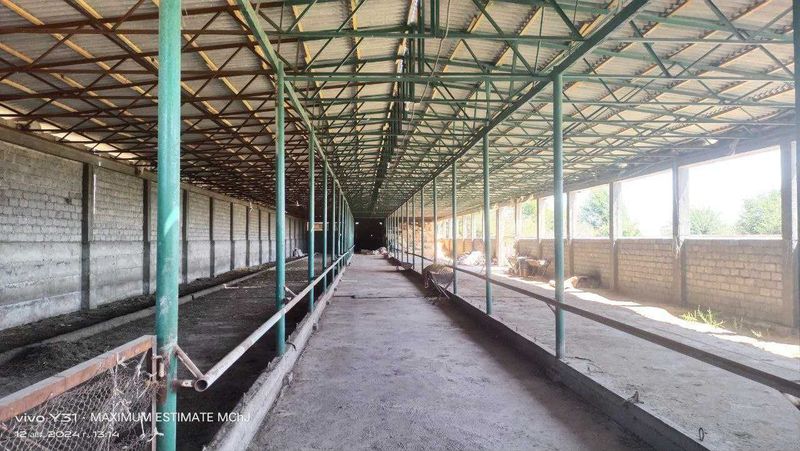 Ohangaron tumanida tayyor ferma sotiladi