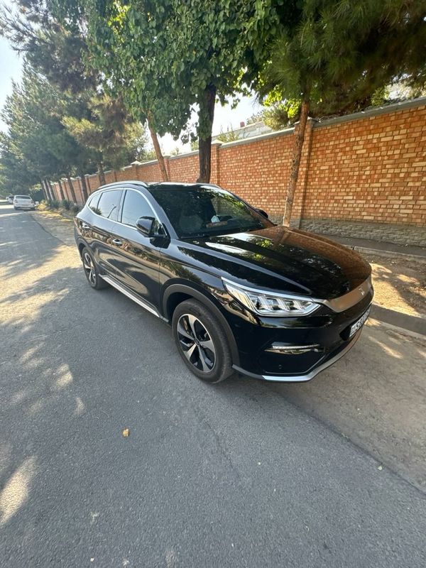 Byd song plus 2022 Byd song plus 2022