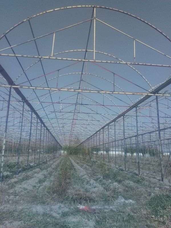 Biz sizlar uchun xar xil turdagi tom naves katta binolardi ustunsiz yo Biz sizlar uchun xar xil turdagi tom naves katta binolardi ustunsiz yo