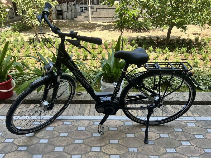 Velosiped pegasus germaniya