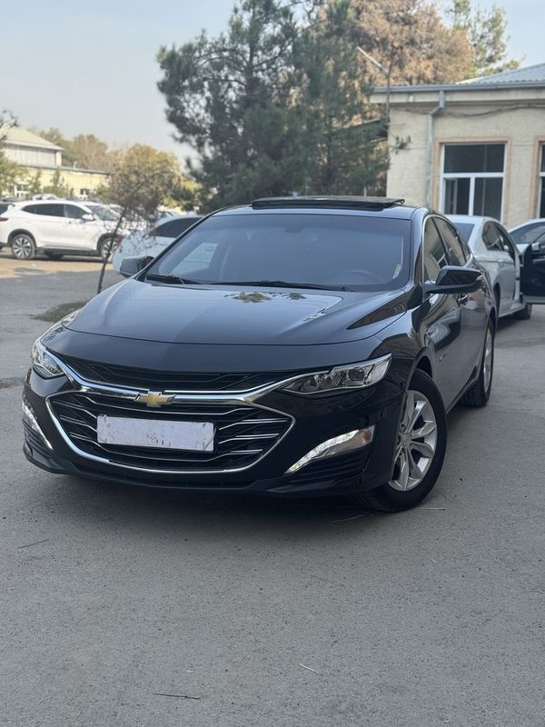 2022 toza ideal primer malibu