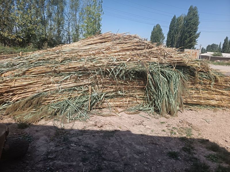 лобазга камич бор лобазга камич бор
