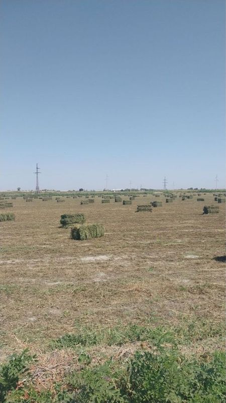 Беда прес сотилади