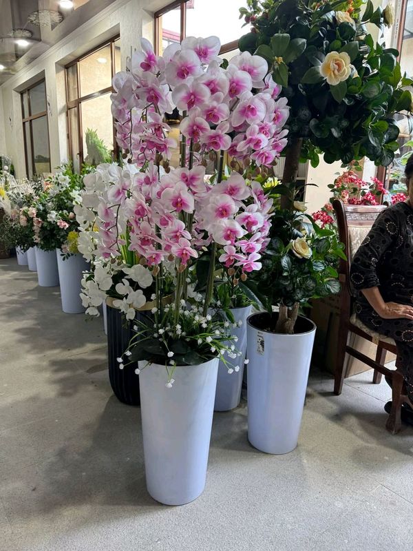 Flowers Flowers