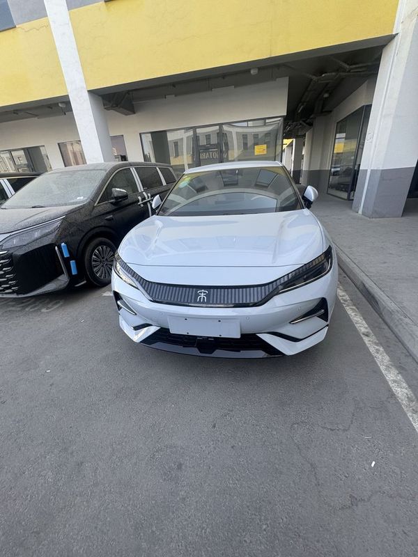 Byd song L narda grey