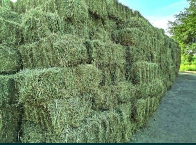 Беда пресс донага 45000 Беда пресс донага 45000