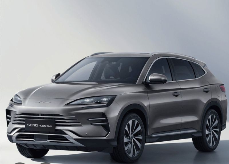 Byd Champion song pluys Byd Champion song pluys