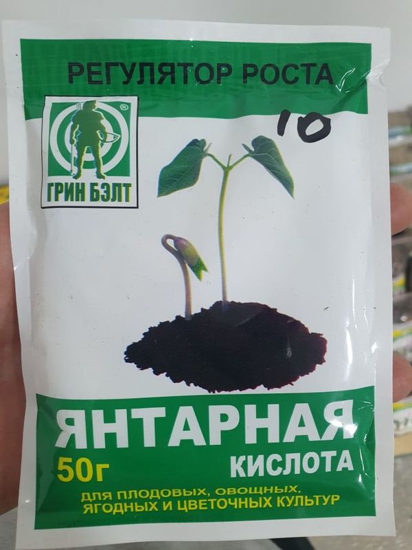 Yantarnaya kislota Янтарная кислота