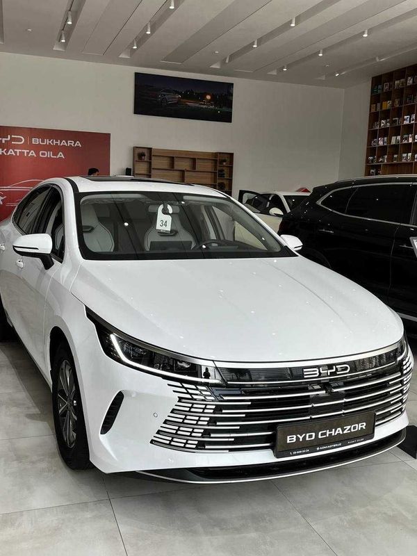 BYD Chazor 55 KM Active 2025