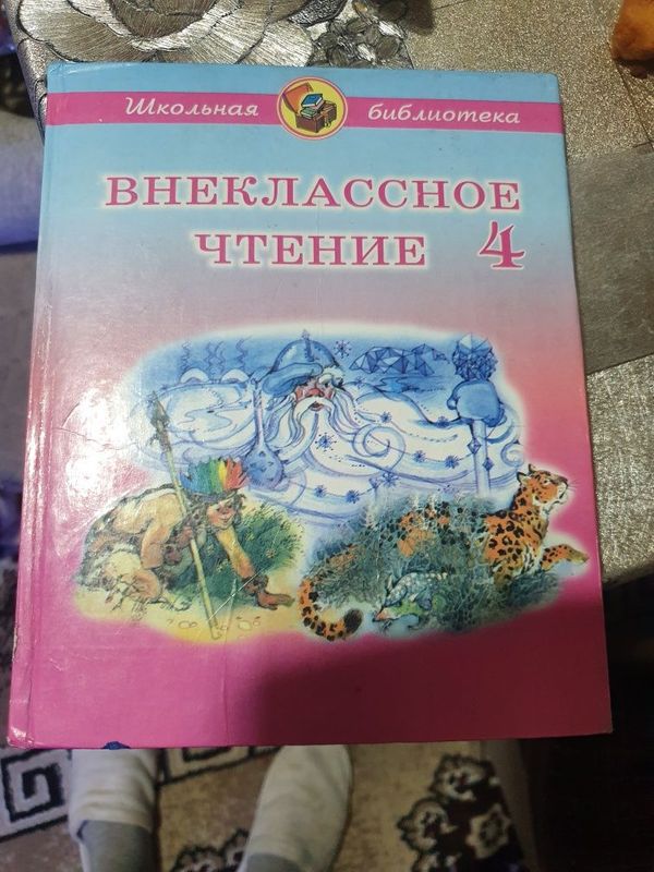 Книга внеклассное чтение срочно