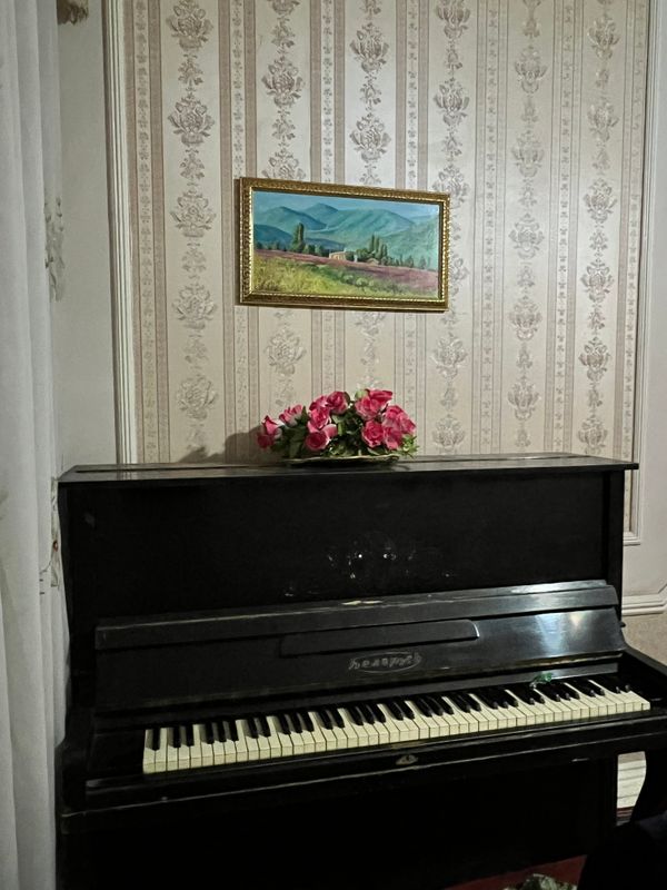 Piyanina