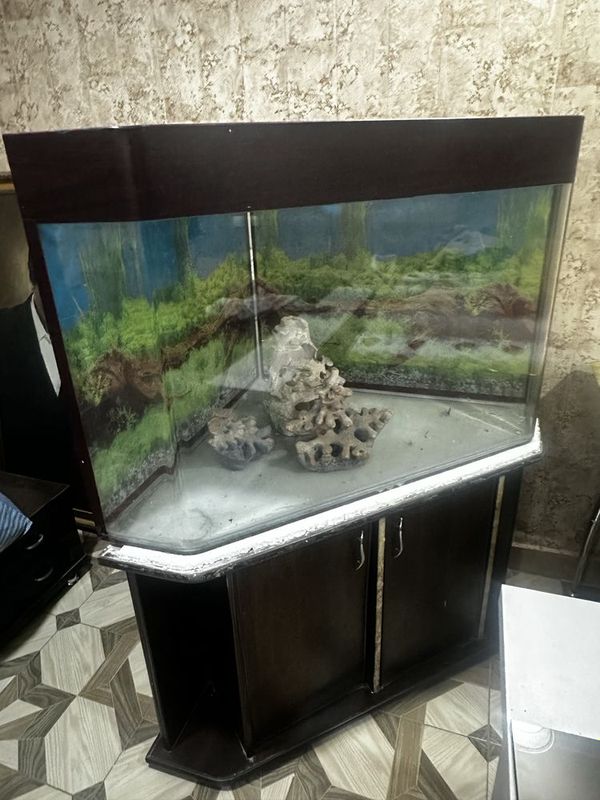Akvarium sotiladi | Аквариум продается