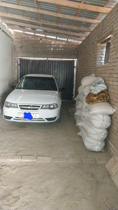 Нехсия 2 2009 год Нехсия 2 2009 год