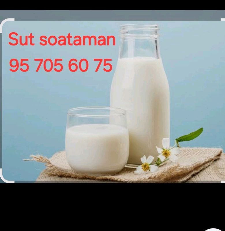 sut sotiladi sut sotiladi