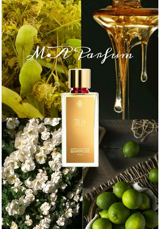 Orginal Parfume Orginal Parfume