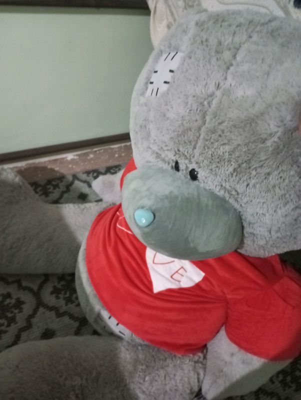 Tiddy yumshoq ayiqcha Tiddy yumshoq ayiqcha