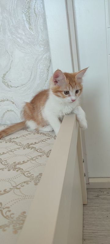 Yaxshi qoʻllarga beriladi Yaxshi qoʻllarga beriladi