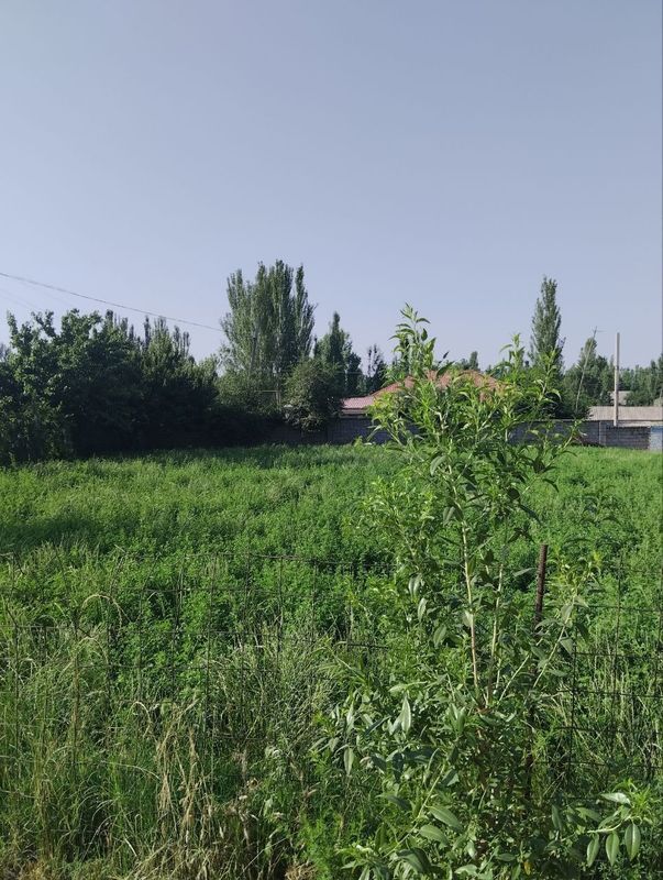 Xujjatlari joyida Xujjatlari joyida