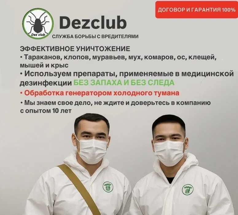Dezinfeksiya klop klapa Дезинфекция от клопов клапа мышей таракан клоп Dezinfeksiya klop klapa Дезинфекция от клопов клапа мышей таракан клоп