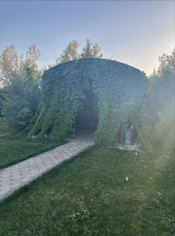 Сдается семейна дача в Самарканде Сдается семейна дача в Самарканде
