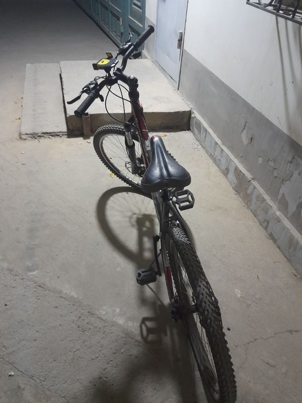Velosiped Velosiped