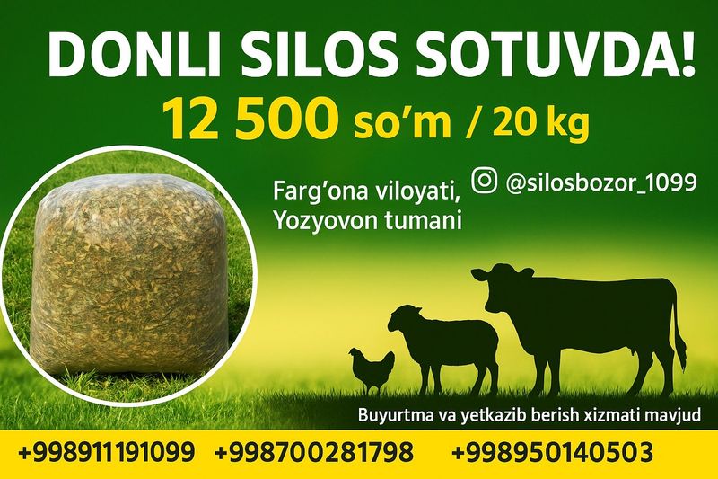Silos sotiladi arzonidan