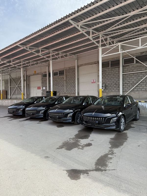 HongQi E-QM5 500km HongQi E-QM5 500km