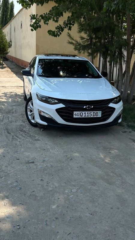 Malibu 2 xl alo darajada kraska tozza 100% Malibu 2 xl alo darajada kraska tozza 100%