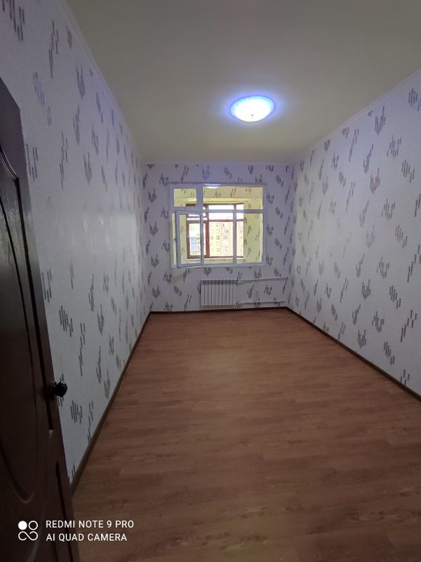 Tinchlik domlari