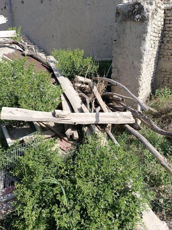 Утинлар сотилади Утинлар сотилади