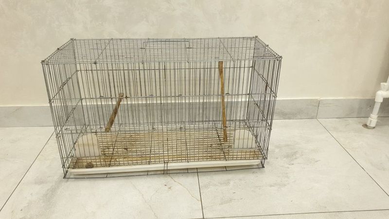Клетка сотилади . Клетка сотилади .