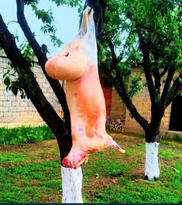 Qassob xizmatlari Qassob xizmatlari