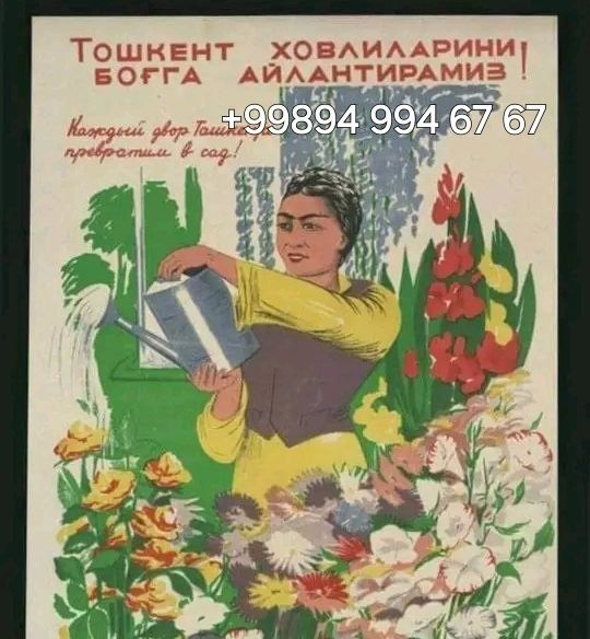 Gazon xizmatlari bor dorilash shakil berish 100% garantiya bor Gazon xizmatlari bor dorilash shakil berish 100% garantiya bor