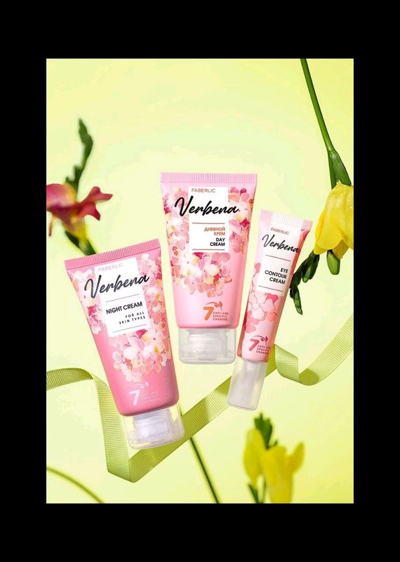 Verbena nabor Verbena nabor
