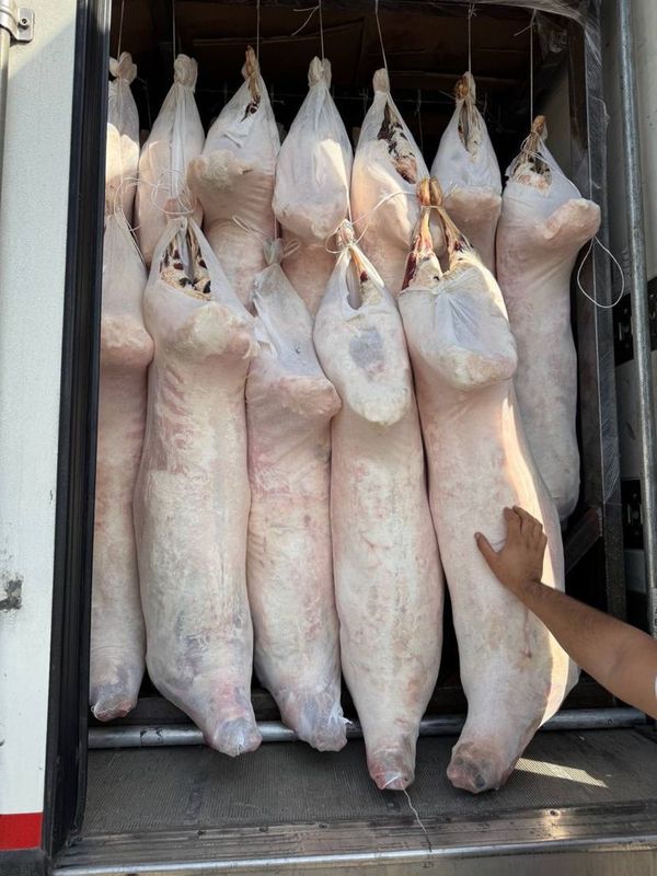 Qoʻy GOʻshti 72.000 soʻmdan 17 kg dan 30 kg gacha