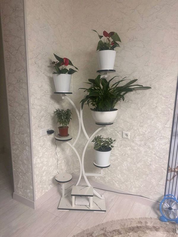 gul uchun pastavka gul uchun pastavka