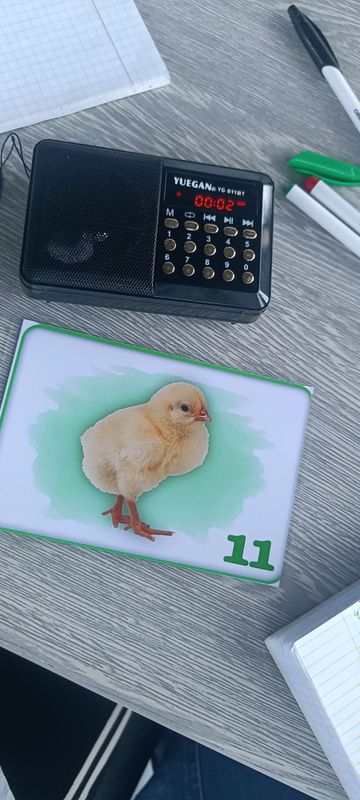 logoped va tarbiyachilar uchun nonutqiy tovushlar logoped va tarbiyachilar uchun nonutqiy tovushlar