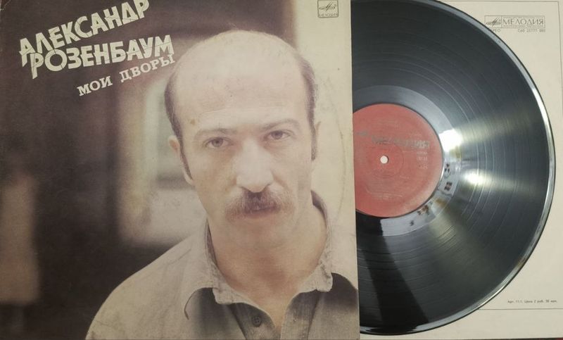 Пластинка « Мои дворы» Пластинка « Мои дворы»