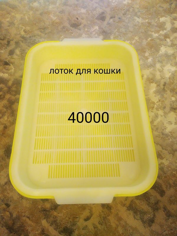 Лоток для кошек новый