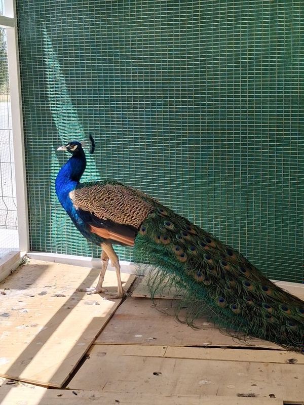 Manzil samarqand deqonobod Manzil samarqand deqonobod
