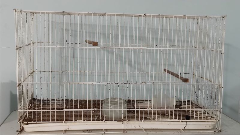 Продам большую клетка Продам большую клетка