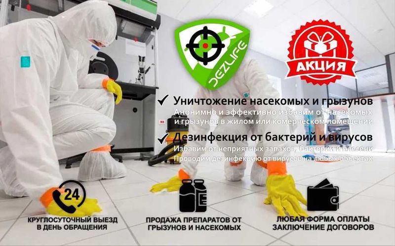 Dezinfeksiya Дезинфекция Уничтожение крыс тараканов клопов клещей klop Dezinfeksiya Дезинфекция Уничтожение крыс тараканов клопов клещей klop