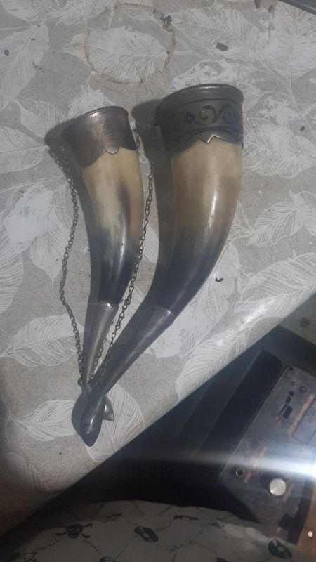 Продается рог 2 шт, цена за оба рога. Продается рог 2 шт, цена за оба рога.