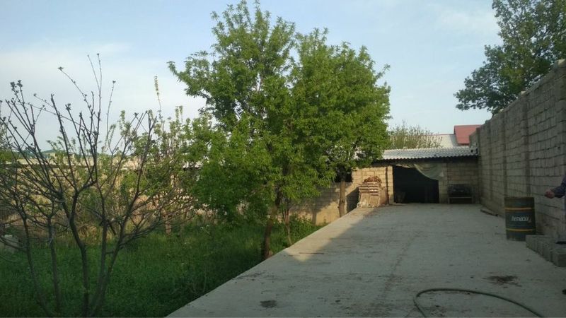Xovli sotiladi 9 sotix