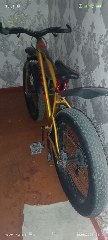 velik sotiladi ozgina minilha hamajoyi zur