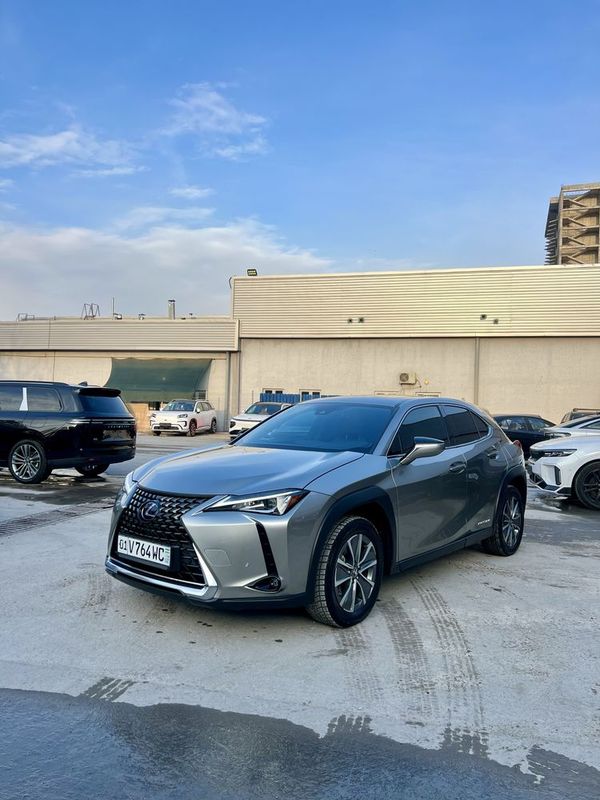 LEXUS UX 300 e elektromobil