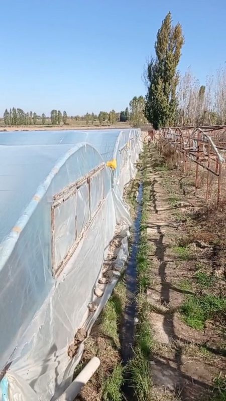 Yangiyol halqaboddan 2 km kirganda tayyor Biznes uchun joy Yangiyol halqaboddan 2 km kirganda tayyor Biznes uchun joy