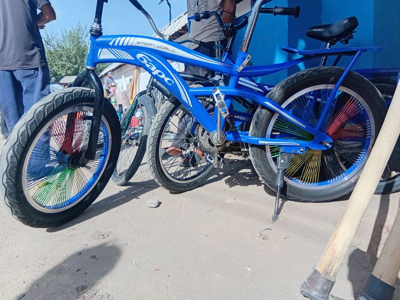 velosiped 20lik